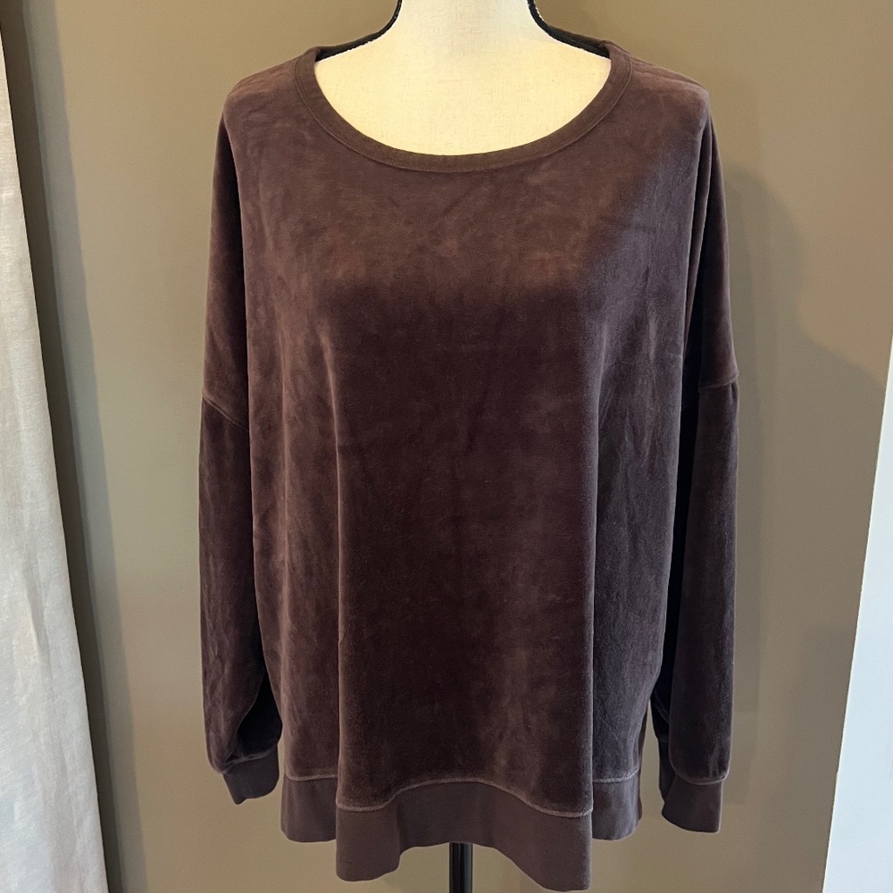 J. Crew Women's Velour Pullover Sweatshirt in Deep brown